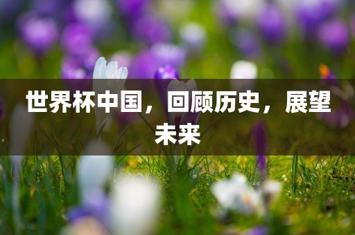 世界杯中国，回顾历史，展望未来